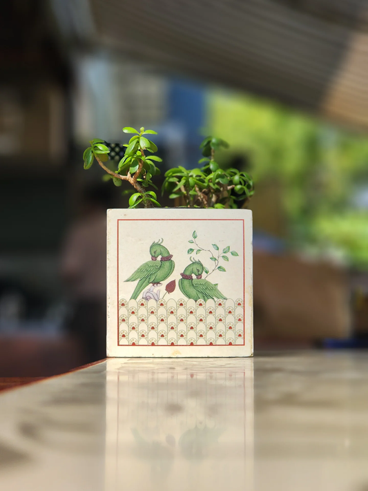 Best 5 Vastu Tips for Placing Wooden Decor