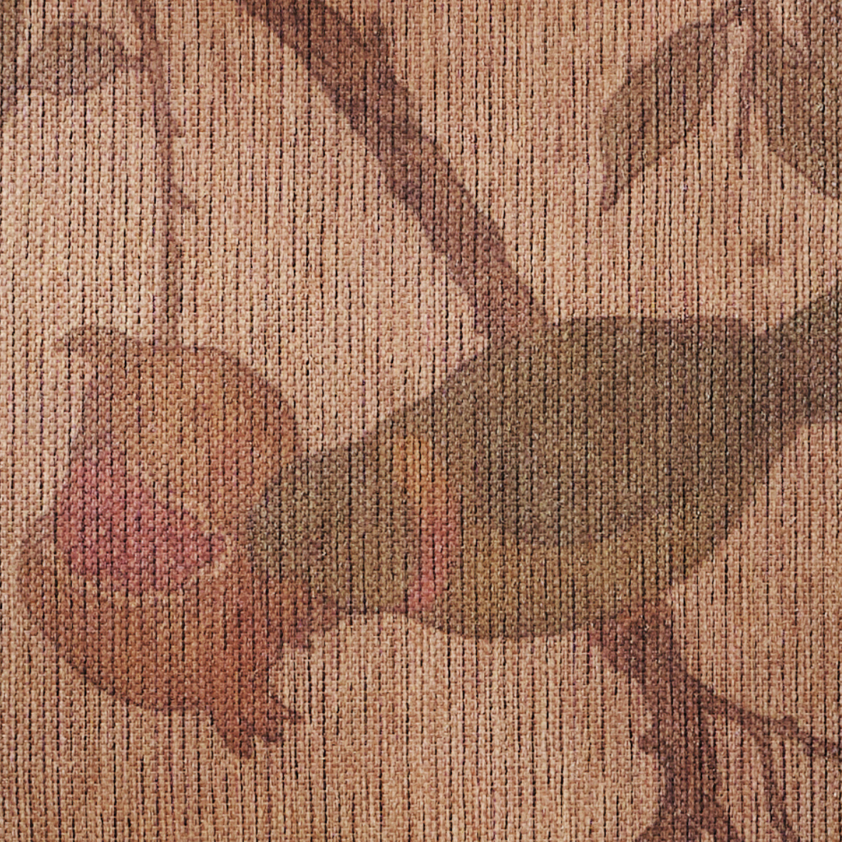 Andakara Chitra - Pomegranate Perch