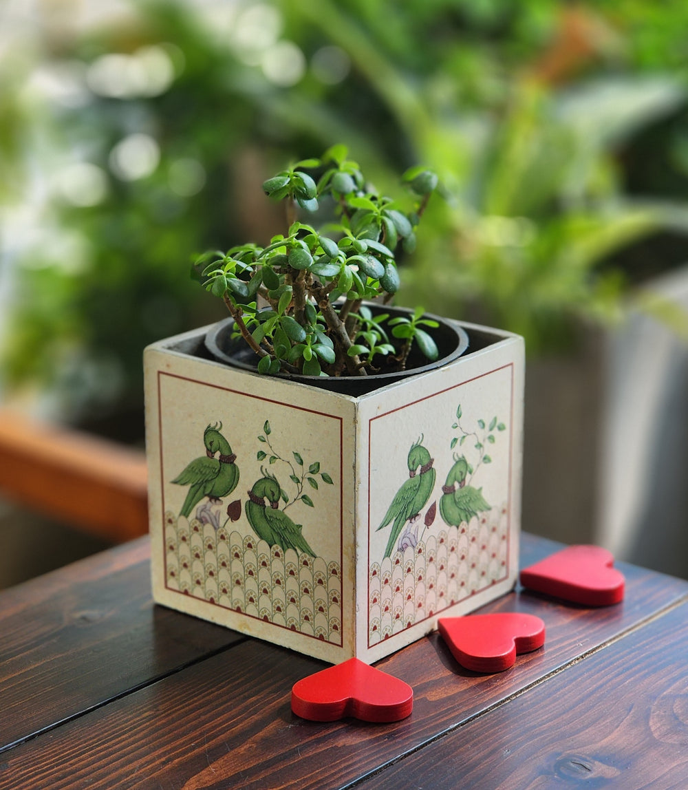 Planters