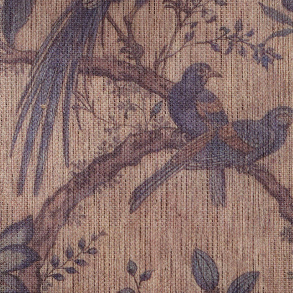 Andakara Chitra – Feathered Charm