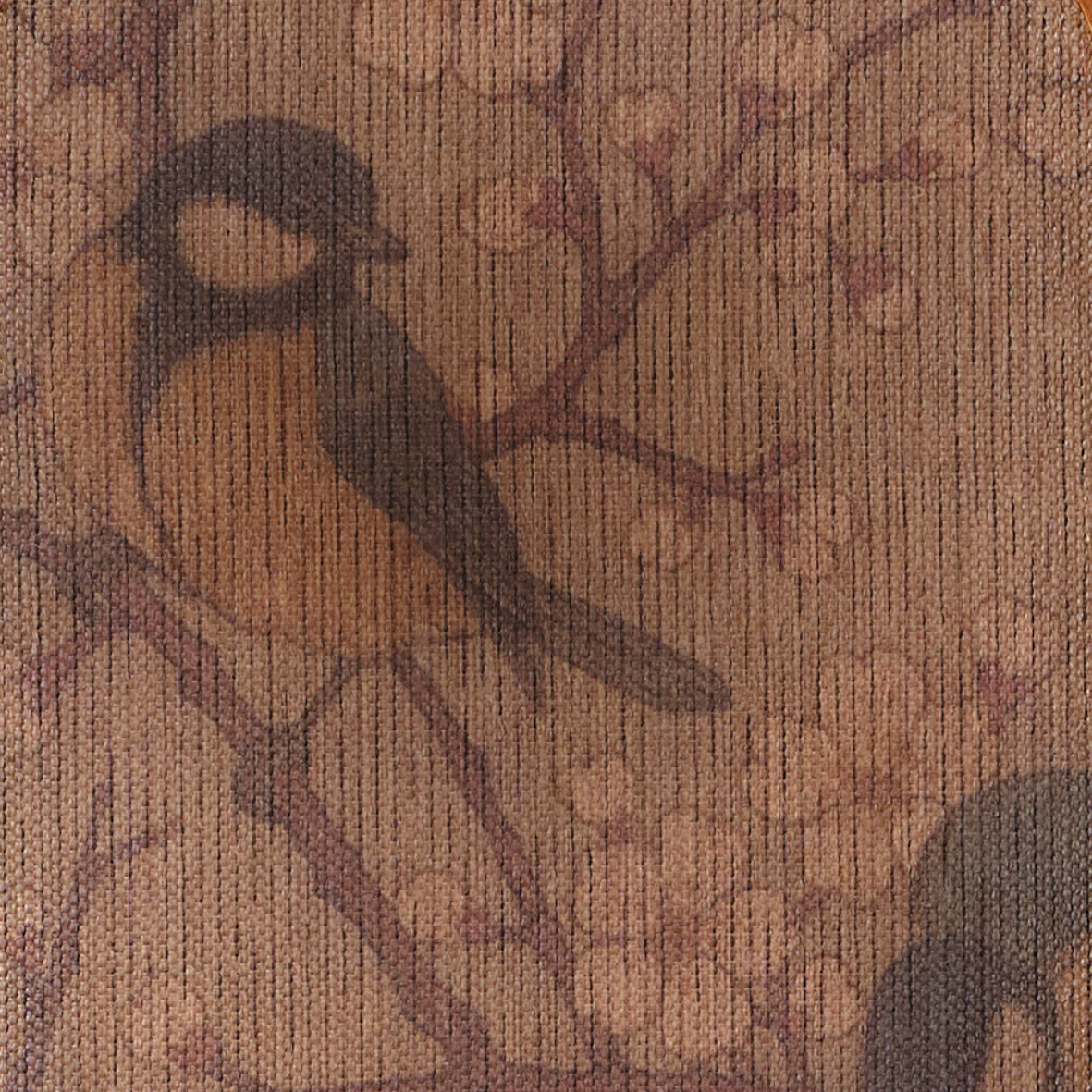 Andakara Chitra – Tranquil Perch